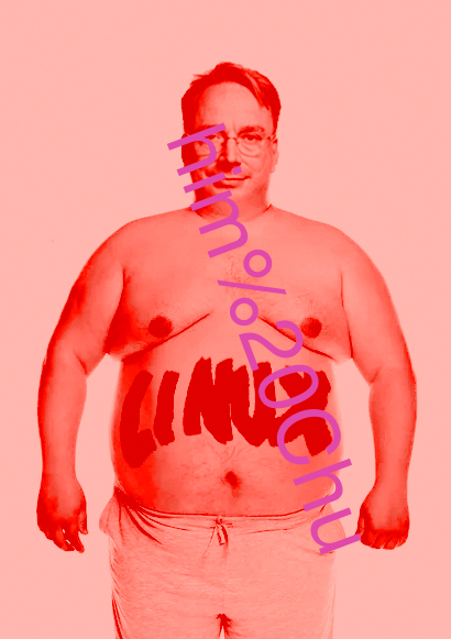 him Chu
